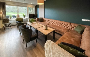Pet Friendly Home In Zuidwolde With Kitchen
